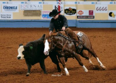 Southern Ranches Cow Horses