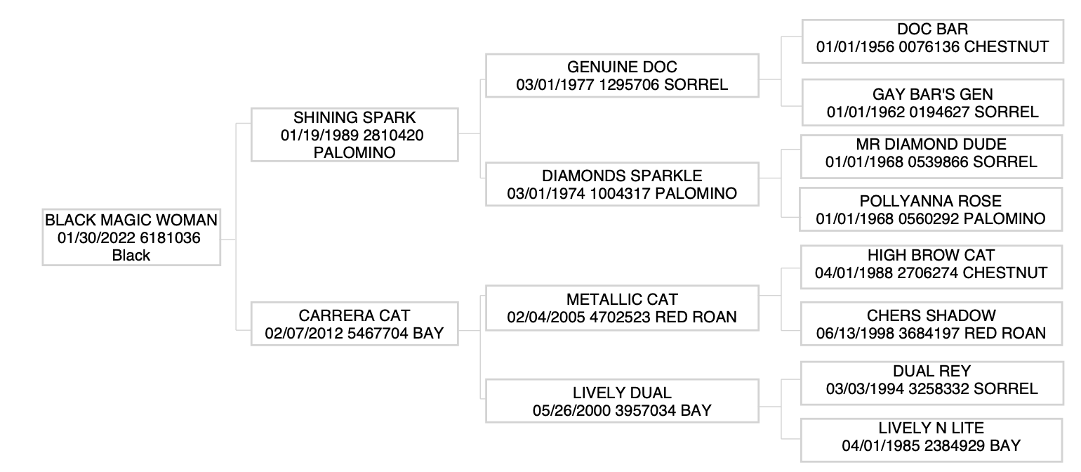 A TRES OF CABO PEDIGREE
